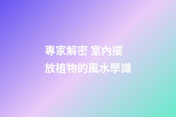 專家解密 室內擺放植物的風水學識
